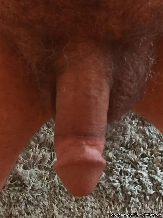 Photo of a ram rod from dodgerboy