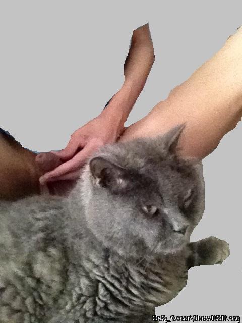 Photo of a stiffie from OsQ_Oscar