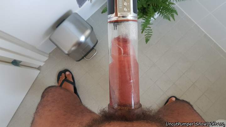 Poor Cock