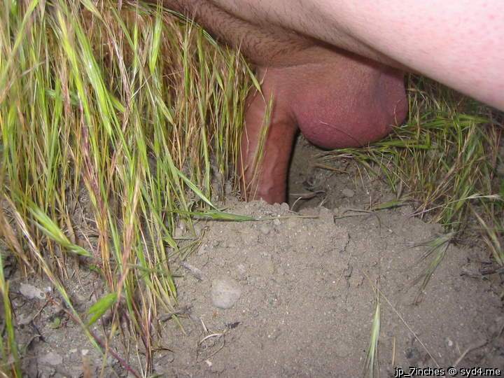 Hole in the ground