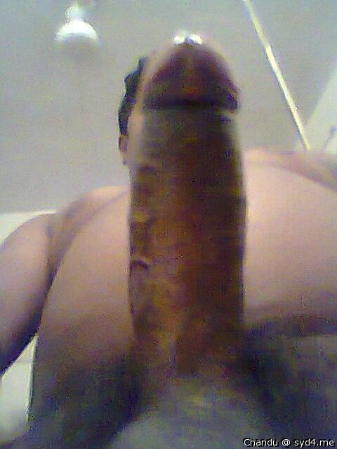 Photo of a short leg from Chandu