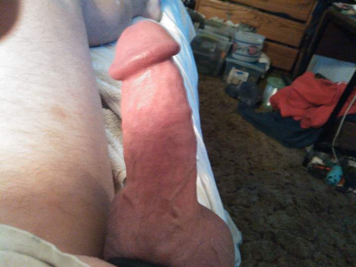 Photo of a thing from fish4free