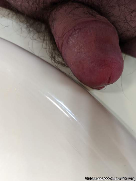 Photo of a bat from blutobluto2000