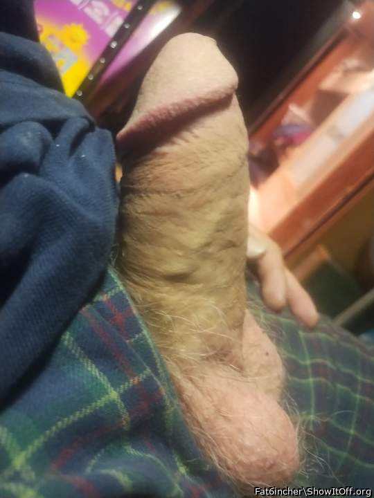 Photo of a weasel from Fat6incher