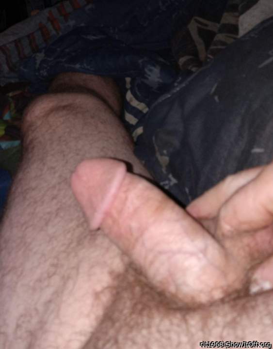 Photo of a bat from rlt1968