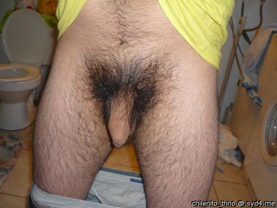 Photo of a short leg from chilenito_thno