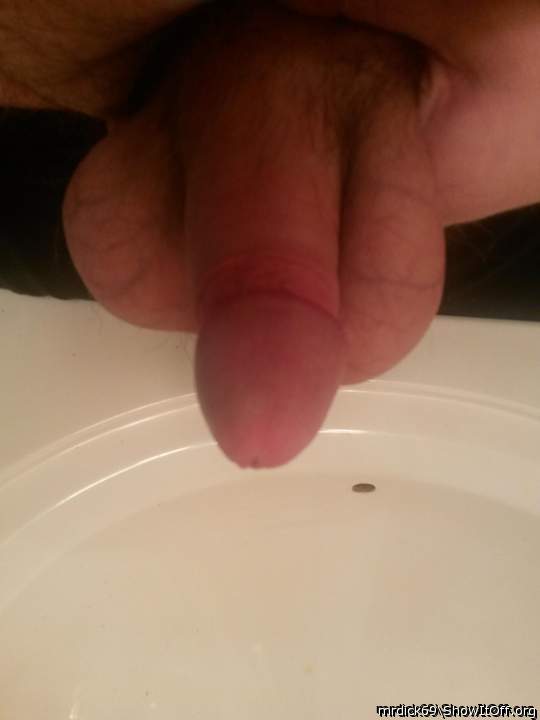 Photo of a snake from MRDICK69