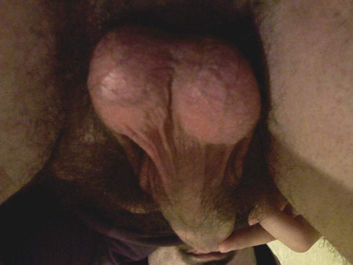 Testicles Photo from 8inchthickdick