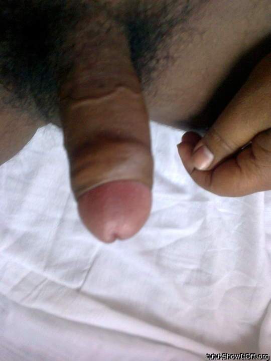 Photo of a ram rod from tutu