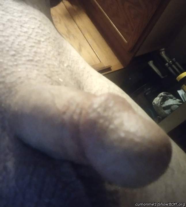 Photo of a snake from cumonme1