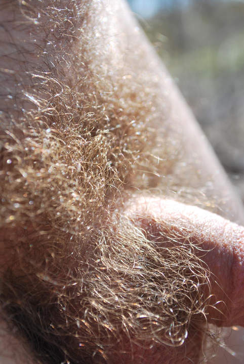 love those pubes