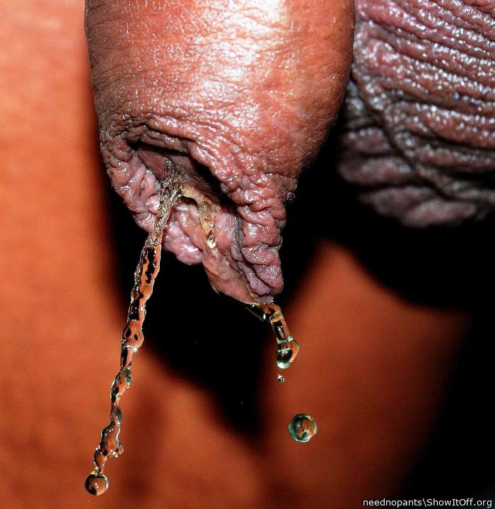 Photo of a hot dog from neednopants