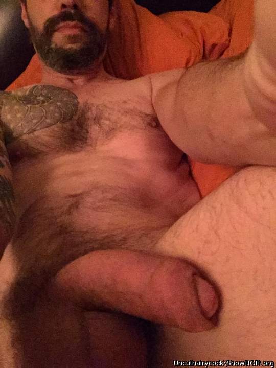 Tasty looking uncut cock