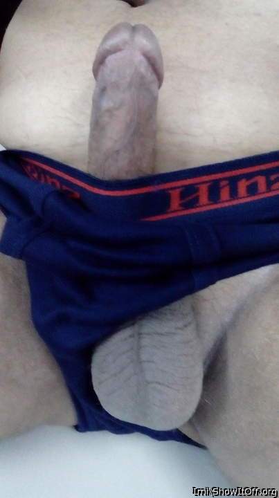 Photo of a snake from imi