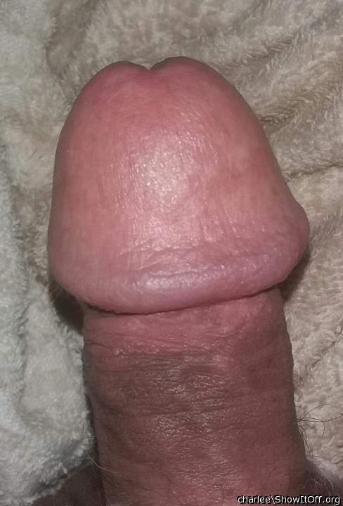 Perfect circumcision. Love the head.