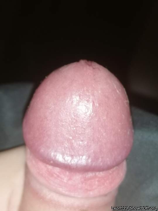 Cock