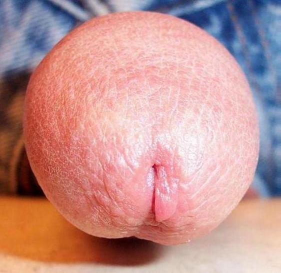 Photo of a prick from lilsoftee