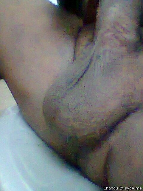 Testicles Photo from Chandu