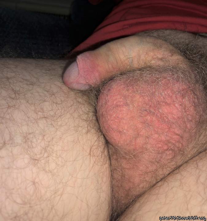 Photo of a bat from peter79