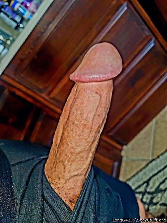 Photo of a horn from LongG4236
