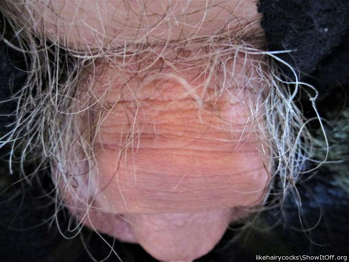 hairy lil fucker