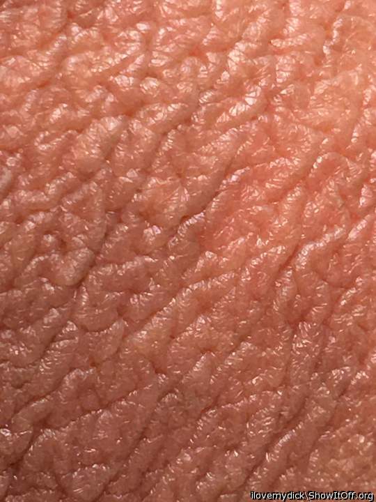 Wallpaper - My Scrotum