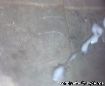 Photo of a dong from karthivette