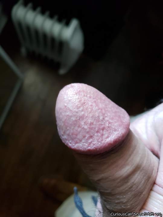 Photo of a prick from CuriousCali