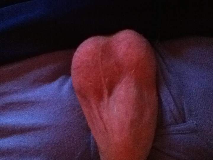 Testicles Photo from PoopSmith