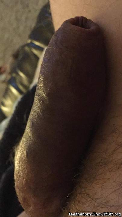 Photo of a horn from feelthehorn