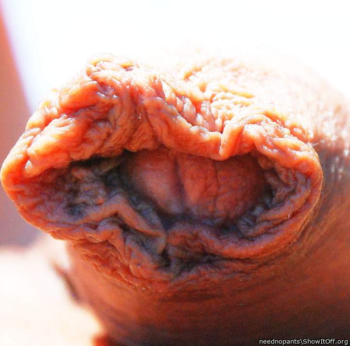 Photo of a purple headed monster from neednopants