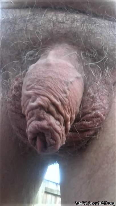 tasty foreskin!   