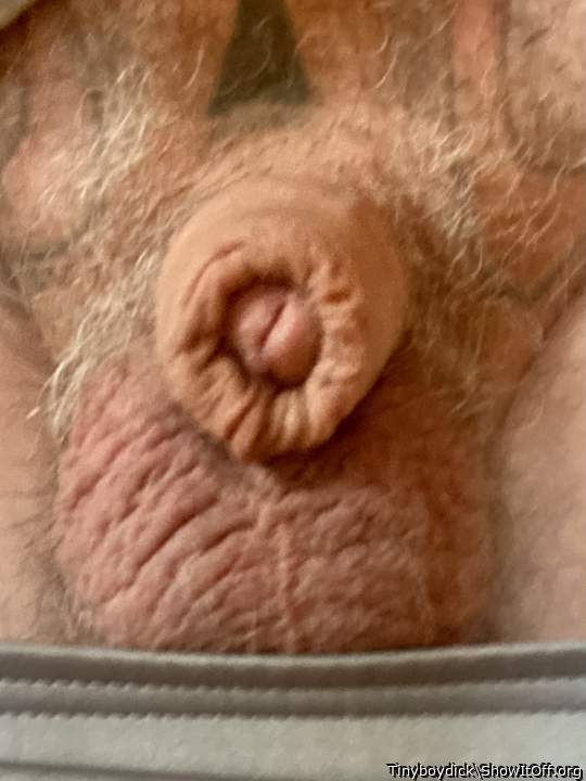 The amazing disappearing Cock ...lol...