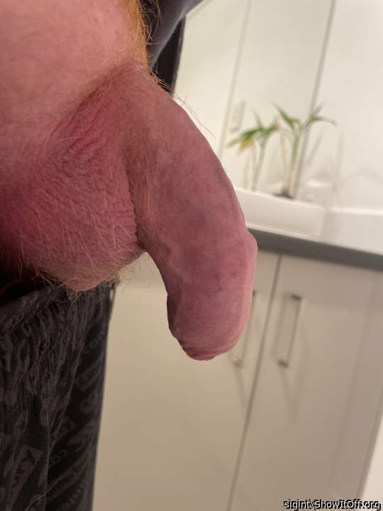 Nice hanging cock. Good shave too love it