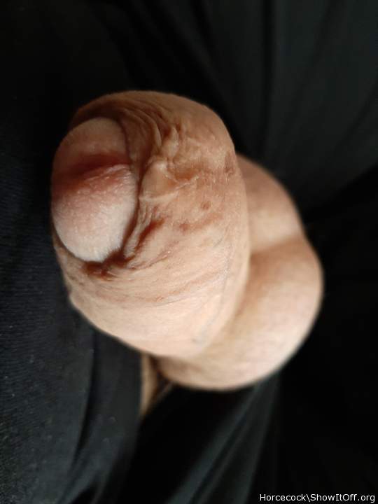 Photo of a bald-headed mouse from massivecock
