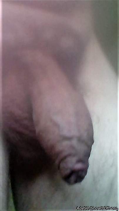 beautiful uncut dick