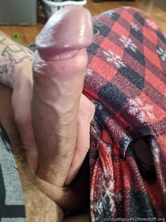 Photo of a python from curiousbiguy85