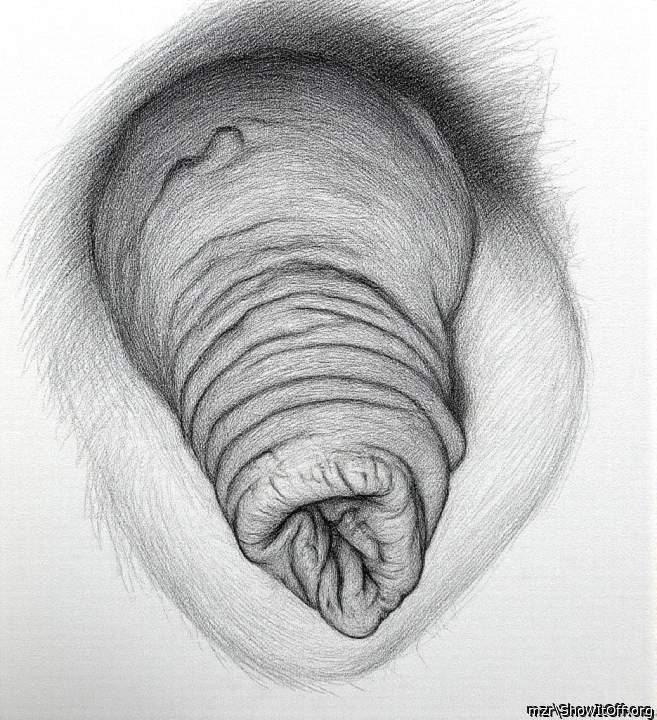 Photo of a drain pipe from mzr