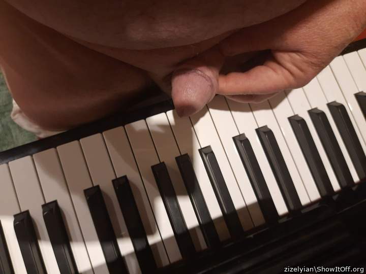 gay cock pianists