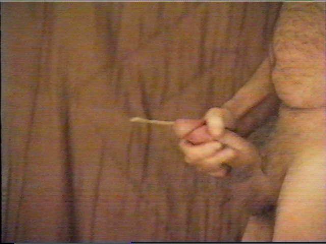 Photo of a bat from like2jack