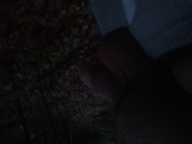 Photo of a shaft from MRDICK69