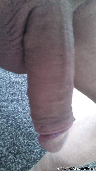 Photo of a drain pipe from mikimike