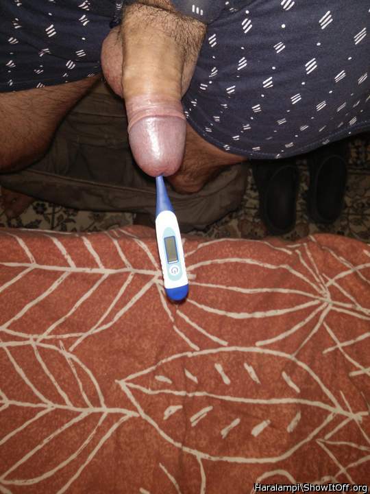 Cock body temperature