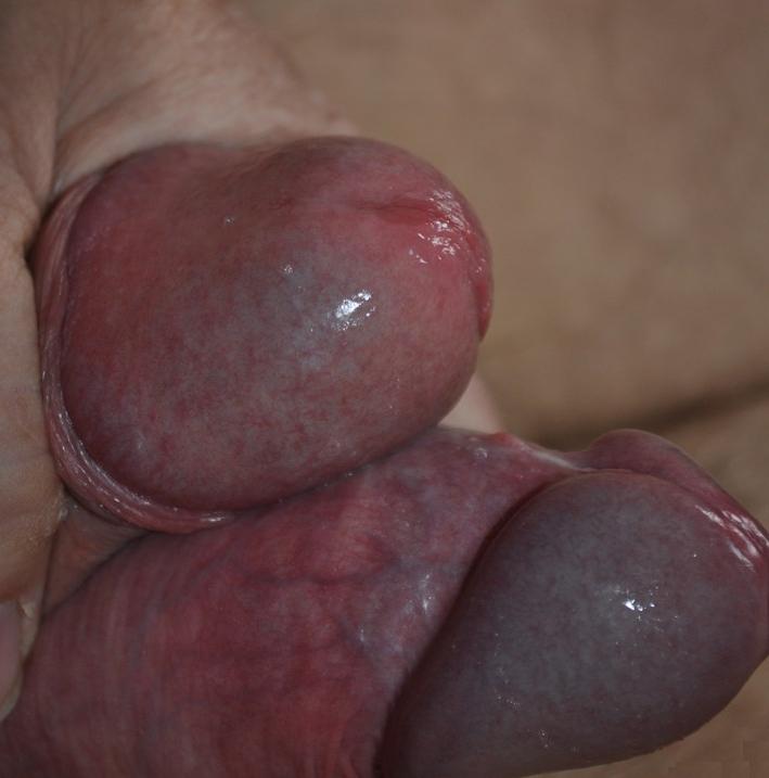Photo of a pecker from conan