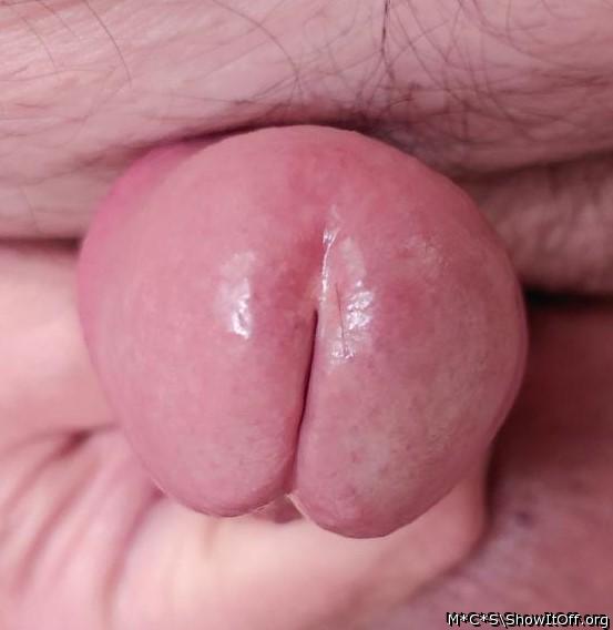 Photo of a schlong from M*C*S