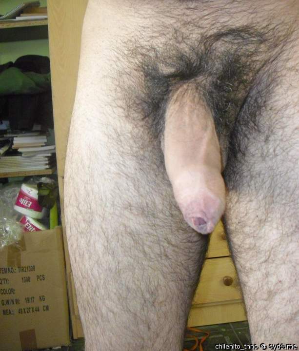 Photo of a horn from chilenito_thno