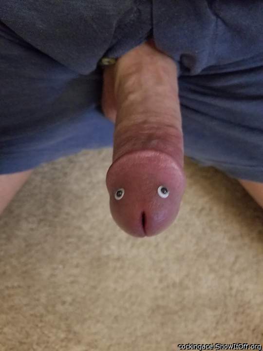 Photo of a sausage from cockingace
