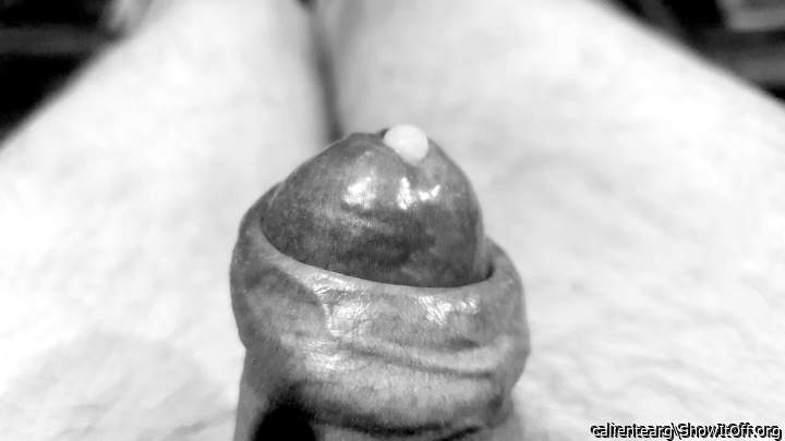 Photo of a pecker from calientearg