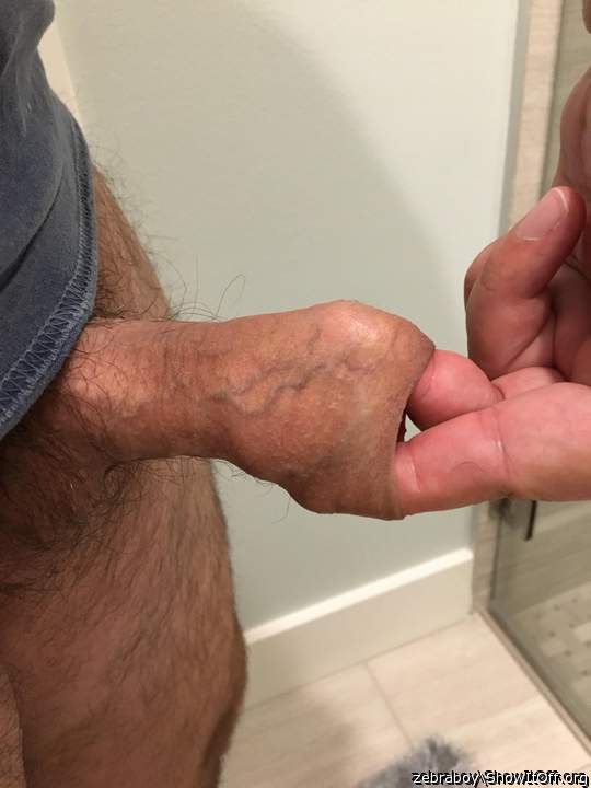 Photo of a snake from zebraboy