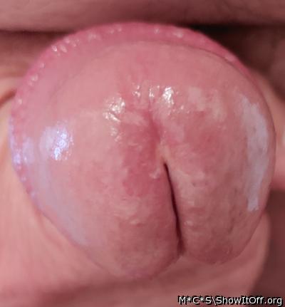 Photo of a phallus from M*C*S